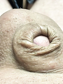 Busty tranny hookers as you want